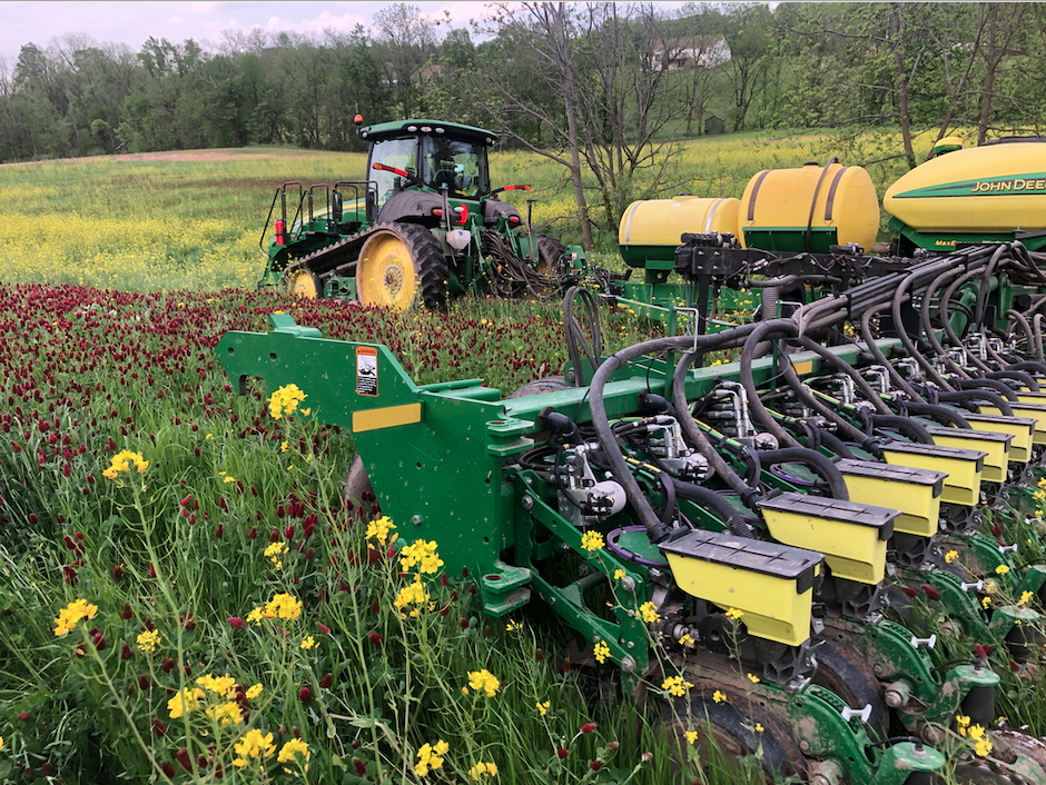 Cover Crop Cover Crop